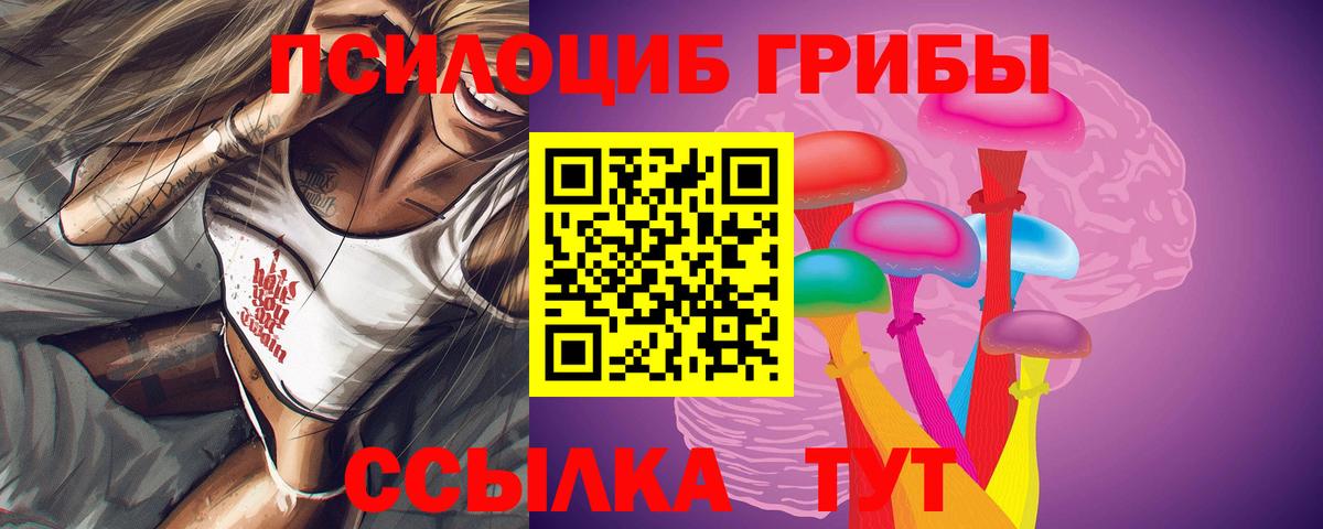 Галлюциногенные грибы Cubensis Куйбышев